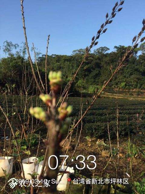 WeChat DƬ_20190311110613.jpg
