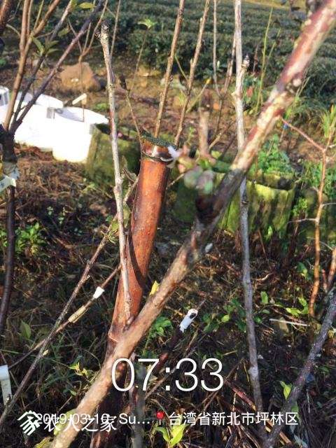 WeChat DƬ_20190311110622.jpg