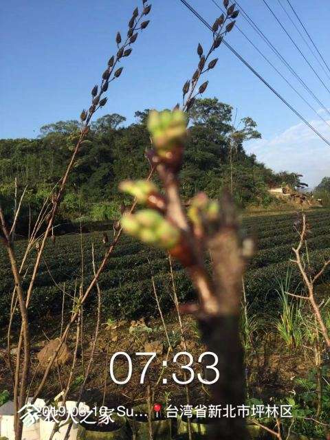 WeChat DƬ_20190311110559.jpg