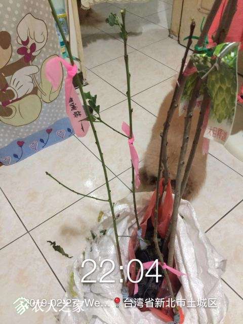 WeChat DƬ_20190311114204.jpg