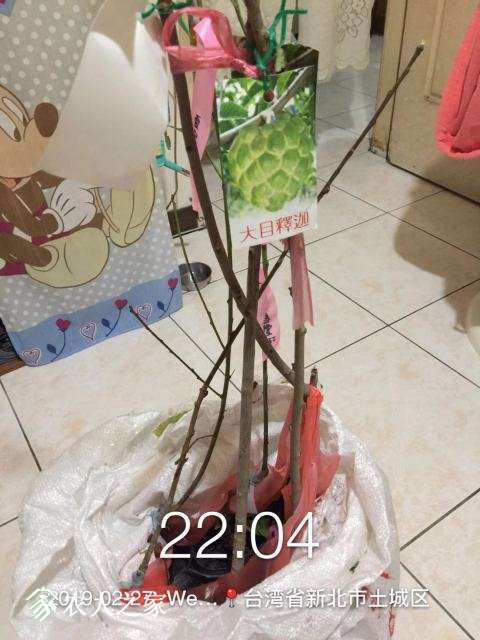 WeChat DƬ_20190311114208.jpg