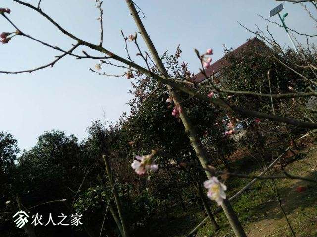 65a5ca2adddc104f1da2debbb28432b.jpg