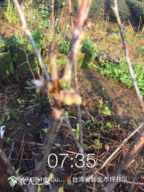 WeChat DƬ_20190311110534.jpg