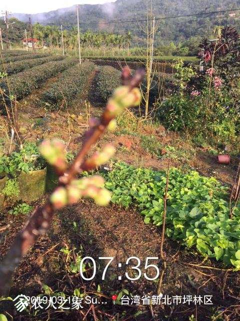 WeChat DƬ_20190311110541.jpg