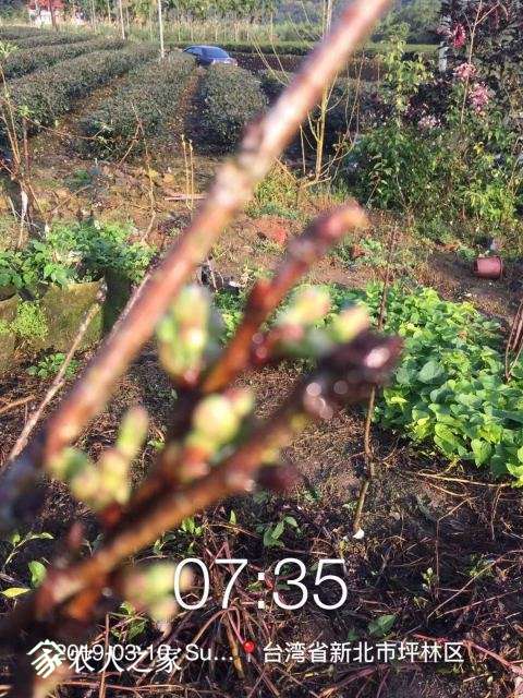 WeChat DƬ_20190311110545.jpg