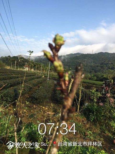 WeChat DƬ_20190311110550.jpg