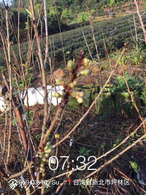 WeChat DƬ_20190311110617.jpg