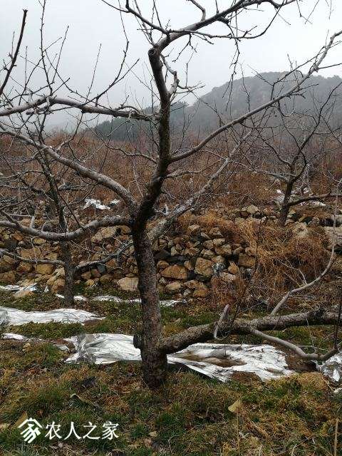 ΢ͼƬ_20190313154059.jpg