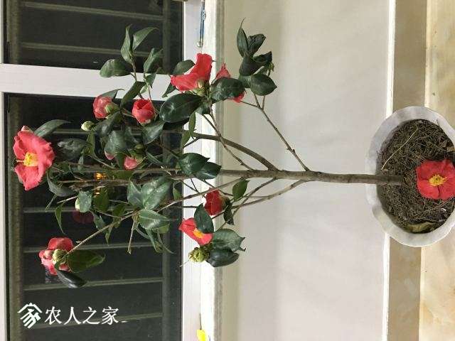 2019_03_13_19軨.JPG