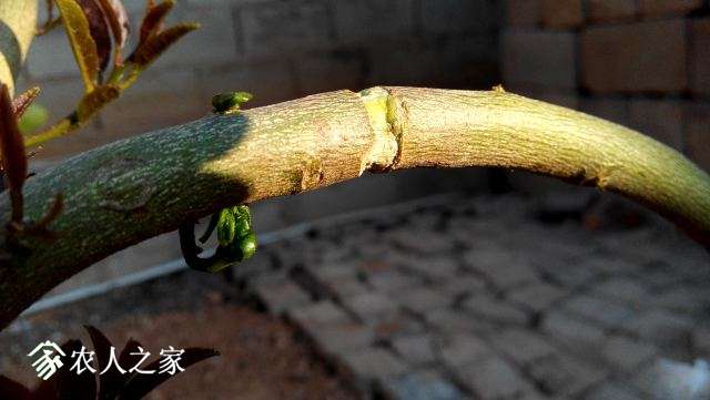 IMG_20190320_181007.jpg