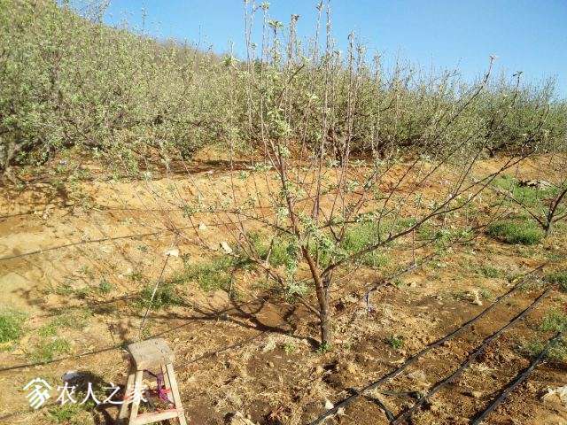 QQͼƬ20150417110411.jpg