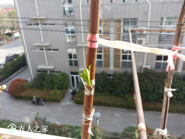 20190326_093453.jpg