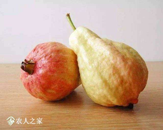 timg_image&amp;quality=80&amp;size=b9999_10000&amp;sec=1553700013735&amp;di=bc4709c52152.jpg