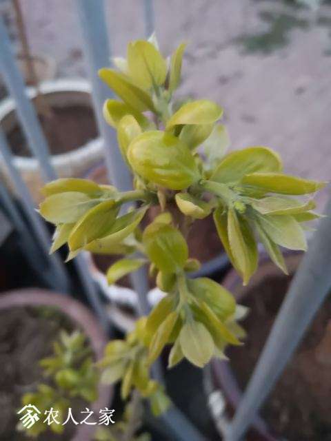 ΢��ͼƬ_20190328101103.jpg