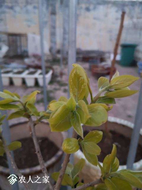 ΢��ͼƬ_20190328101112.jpg