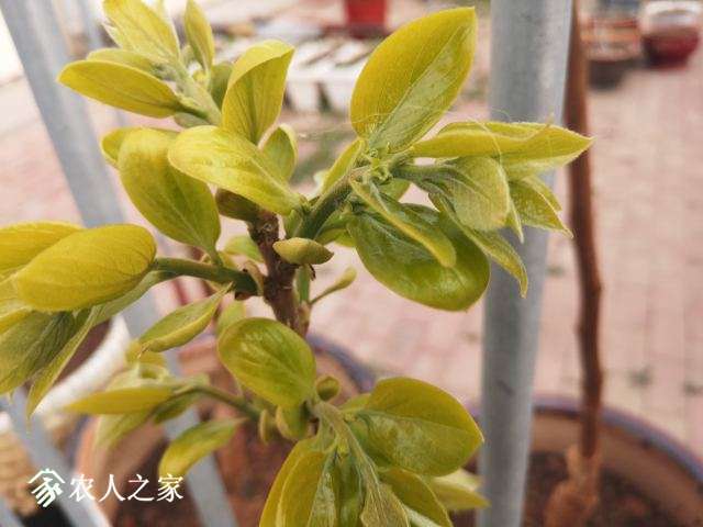 ΢��ͼƬ_20190328101120.jpg