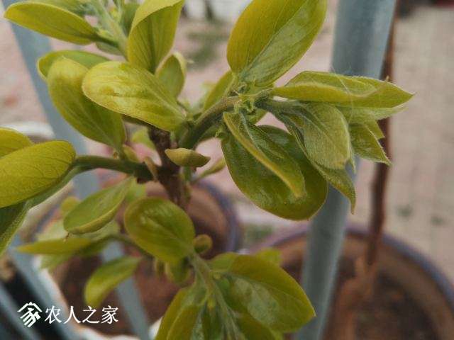 ΢��ͼƬ_20190328101127.jpg