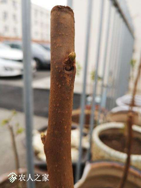 ΢��ͼƬ_20190328114043.jpg