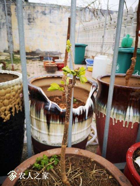 ΢��ͼƬ_20190328114445.jpg