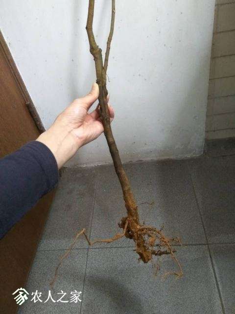 ΢ͼƬ_20190329124041.jpg