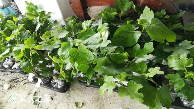 wx_camera_1553845276343.jpg