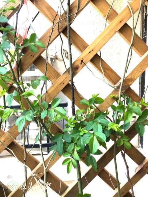 42018DD9-D253-45FE-AE49-0DDE0C418FC1.jpeg