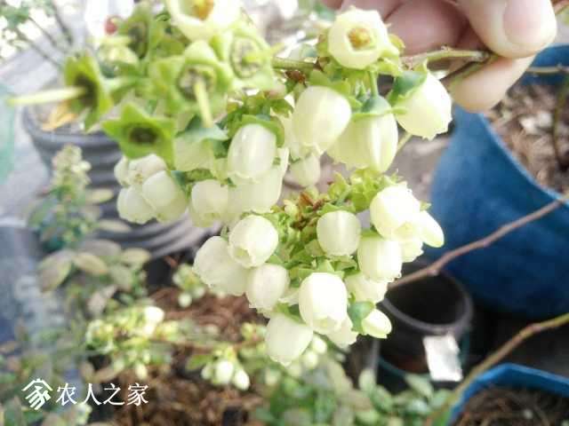 IMG20190329161129.jpg