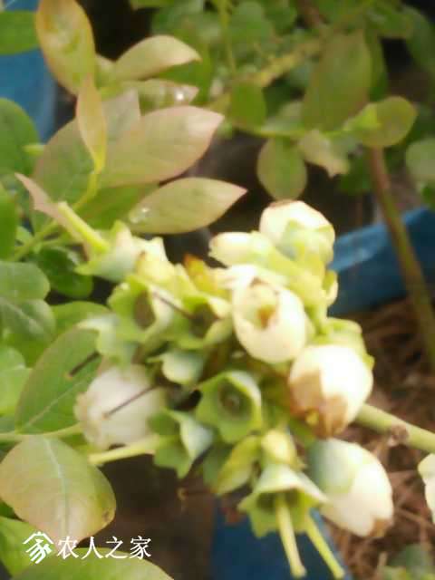 IMG20190331095542.jpg