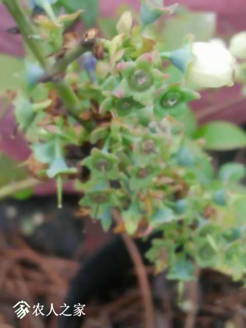 IMG20190331093942.jpg