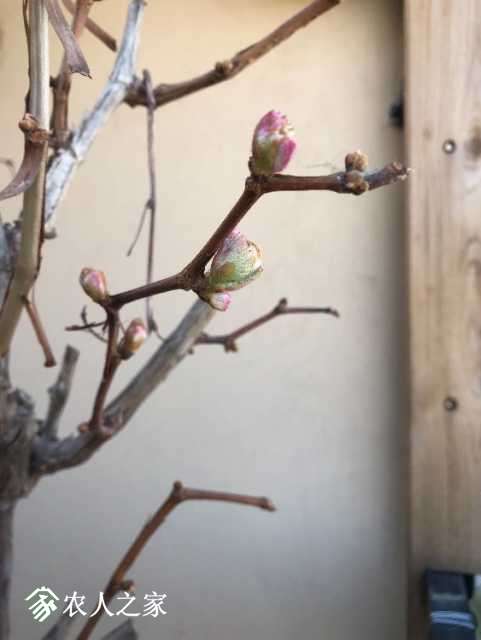 B01D013C-E9F4-4496-B655-97ED88D965E0.jpeg