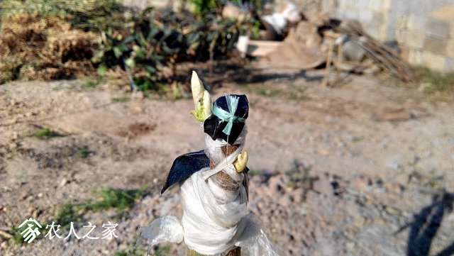 201903208.jpg