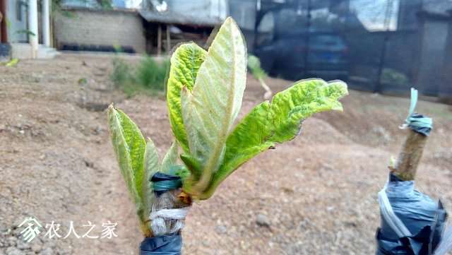201904059.jpg