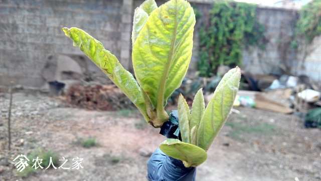 2019040511.jpg