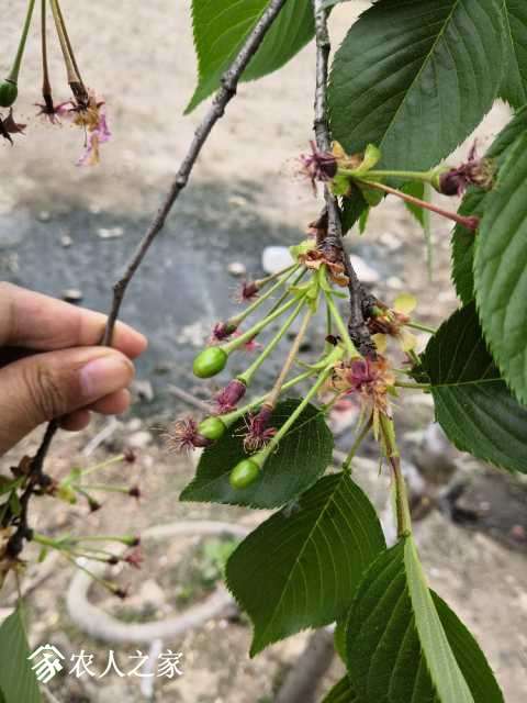 IMG_20190402_135403.jpg