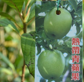 WeChat؈D_20190407191917.png