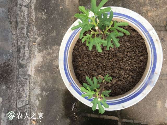 ޻02.jpg