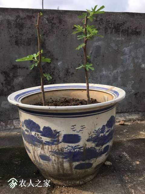 ޻03.jpg
