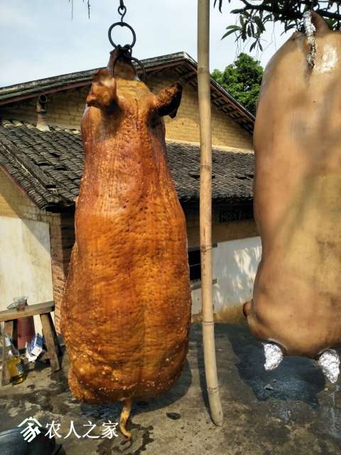IMG20190320143028.jpg