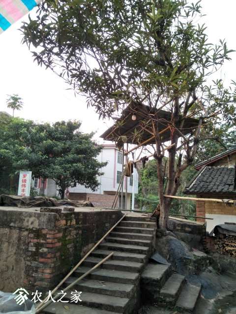 IMG20190408175905.jpg
