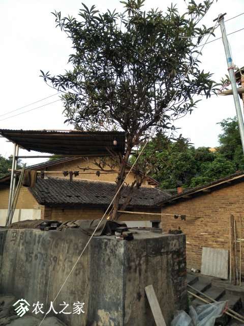 IMG20190408175933.jpg
