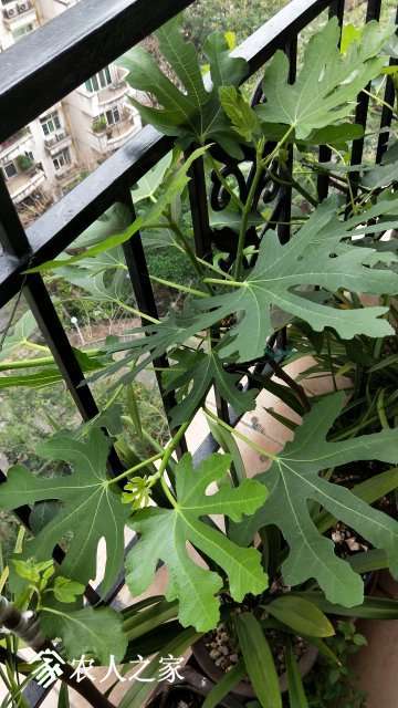 IMG20190403074113.jpg