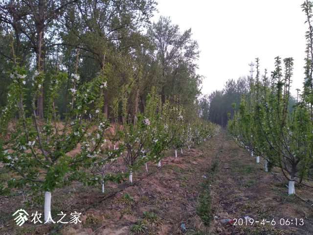 ΢��ͼƬ_20190410084249.jpg
