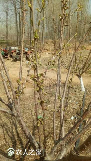 ΢��ͼƬ_20190326144831.jpg