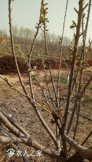 ΢��ͼƬ_20190326144855.jpg