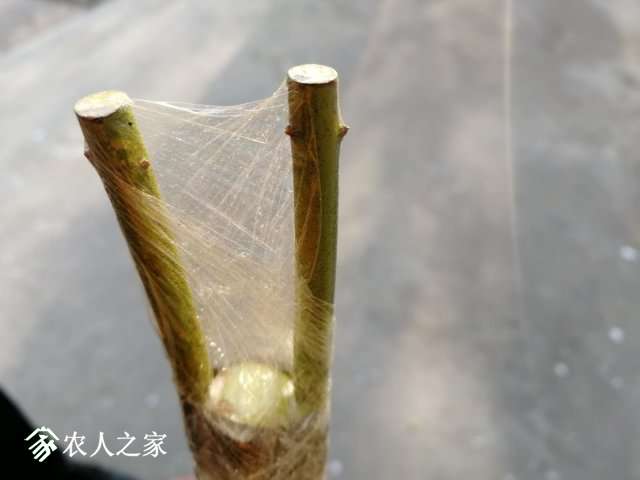 dbad9df38d94ac7b24ab921832088d4.jpg