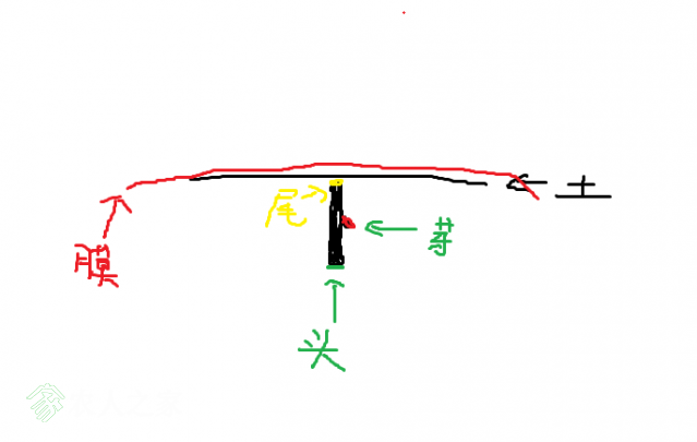 60ad9c62791e091fa52276e1883a82f.png