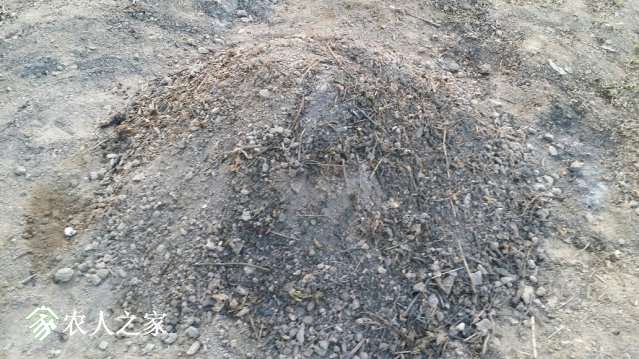 20190203_172326_resized.jpg