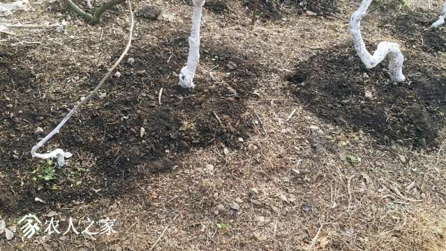 20190206_163806_resized.jpg