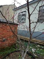 IMG_20190320_155601.jpg.JPG