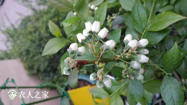 20190415_182019.jpg